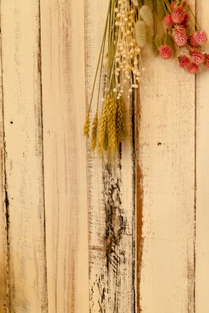 a2f46ad8577563f186aab14a3ea6b4d3