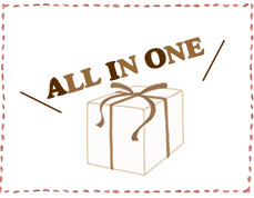 ALLINONEプライス